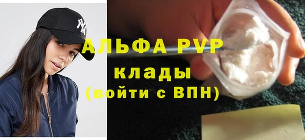 сатива Белокуриха