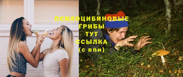 сатива Белокуриха