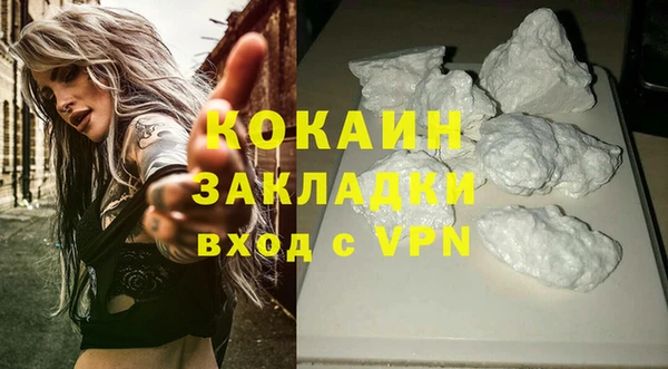 сатива Белокуриха