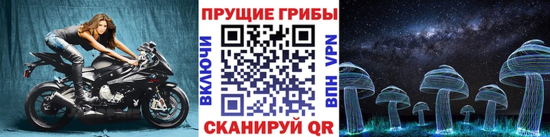 Купить закладки  Нерчинск  Галлюциногенные грибы MAGIC MUSHROOMS 